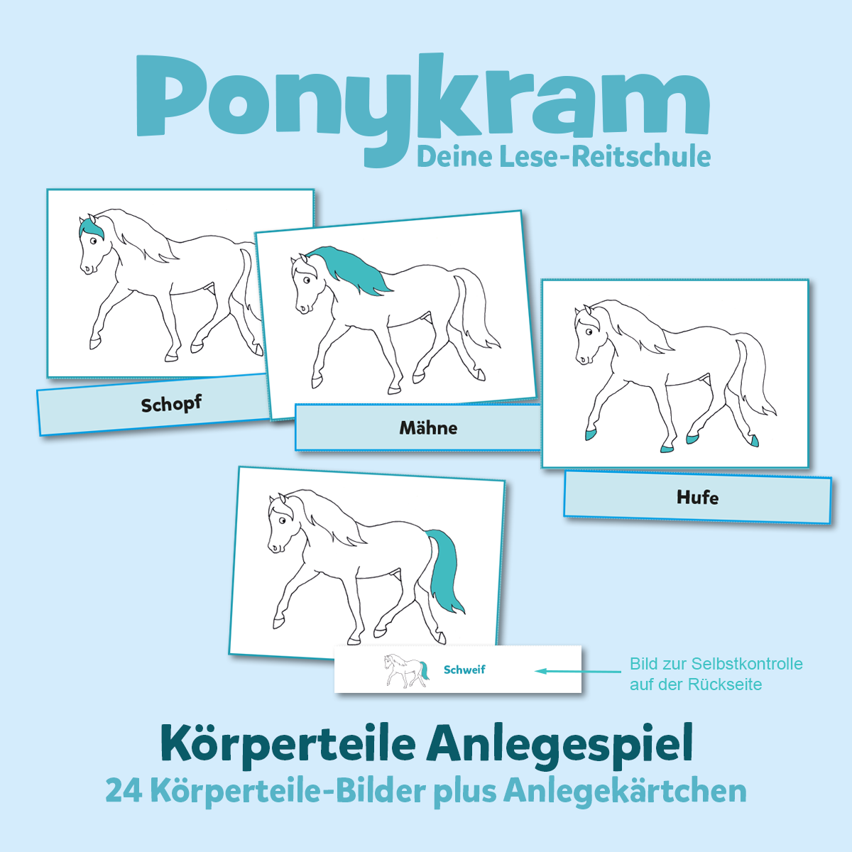 Körperteile-Pony (Anlegespiel)