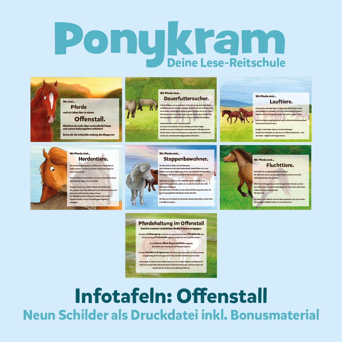 Info-Schilder: Offenstall (Druckdatei)