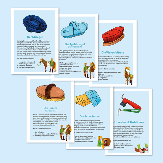 Infokarten: Putzzeug