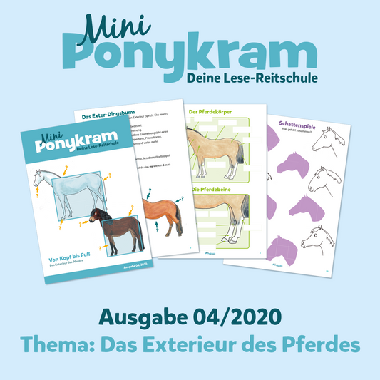 Mini-Ponykram: Das Exterieur des Pferdes