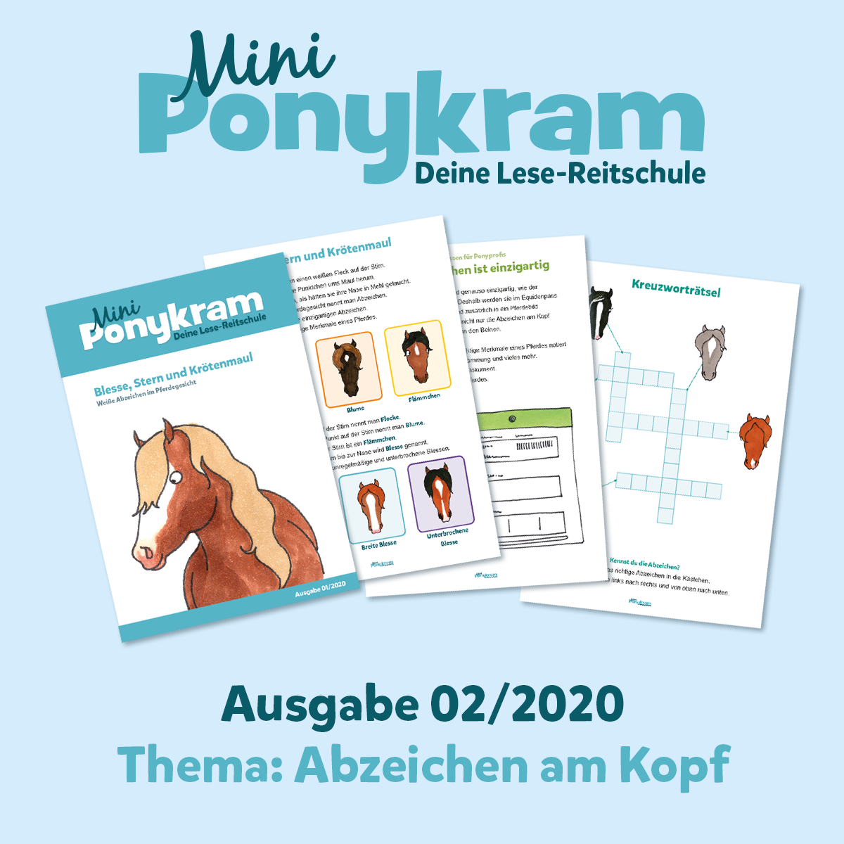 Mini-Ponykram: Abzeichen am Kopf