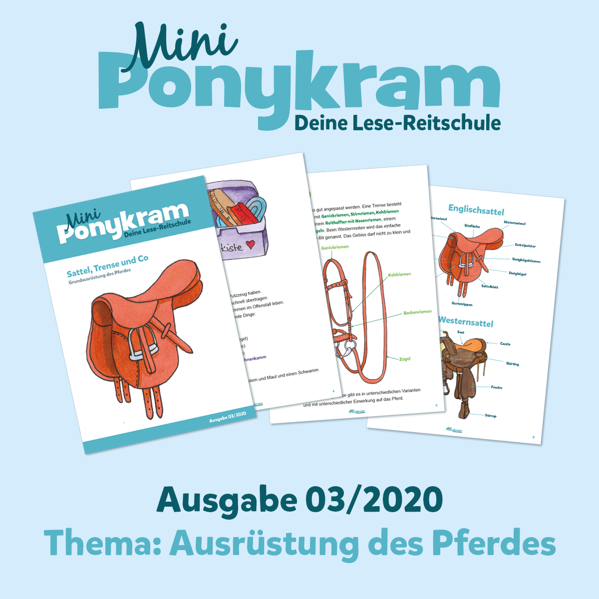Mini-Ponykram: Ausrüstung des Pferdes