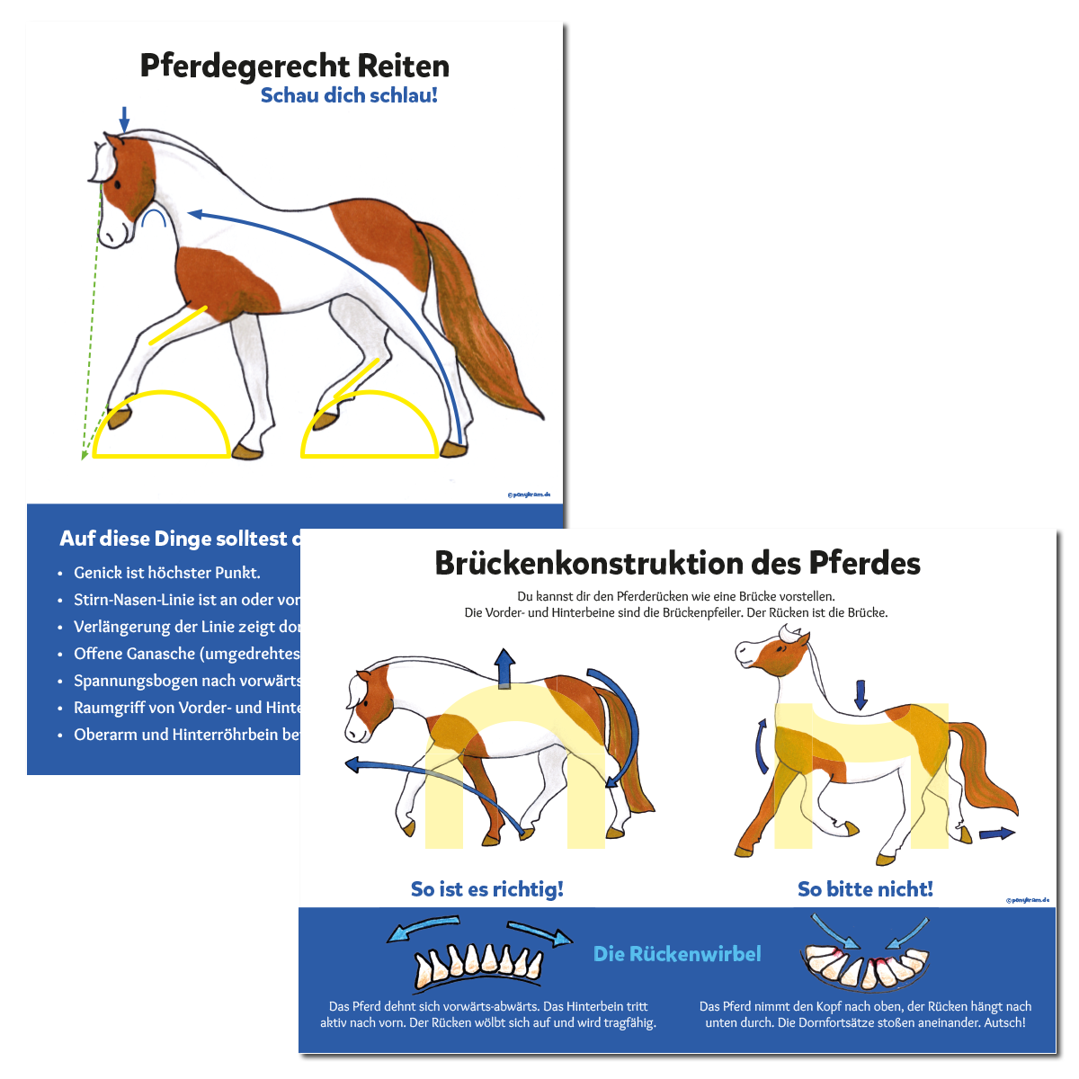 Lernset: Brückenkonstruktion und Blickschulung