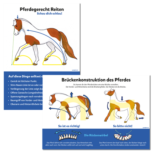 Lernset: Brückenkonstruktion und Blickschulung