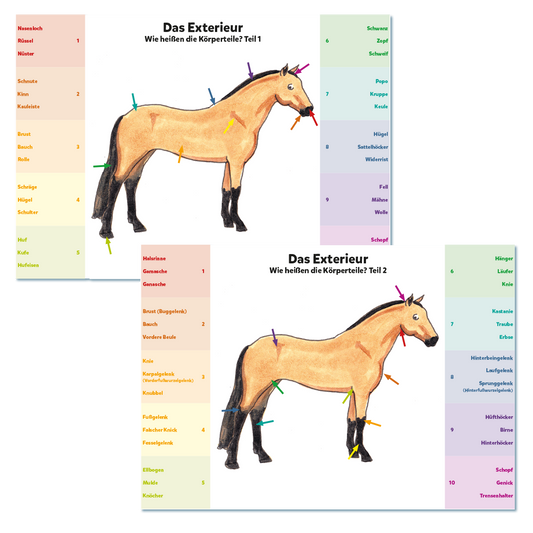 Klippkarten: Körperteile / Exterieur