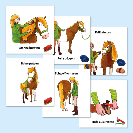 Würfelbilder Pferdepflege