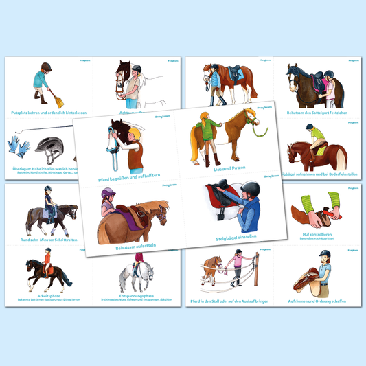 Tagesablauf Reitschule