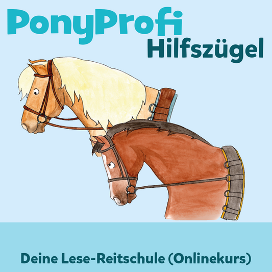 PonyProfi: Hilfszügel